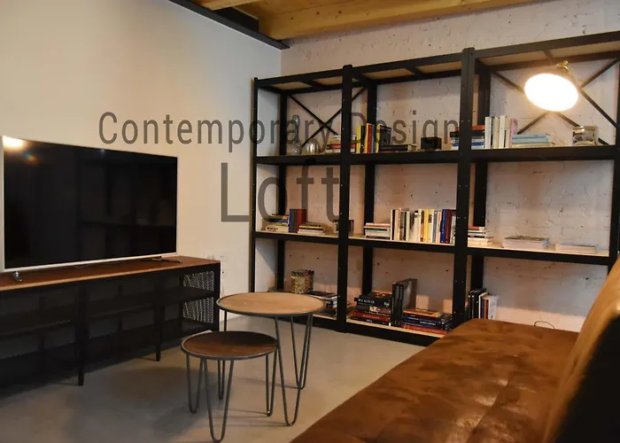 Apartment Contemporary Design Loft & *